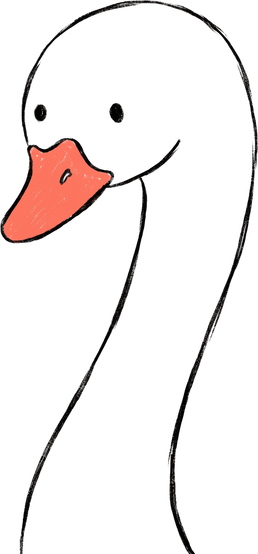 The Nodi swan mascot, a hand-sketched swan with a coral beak